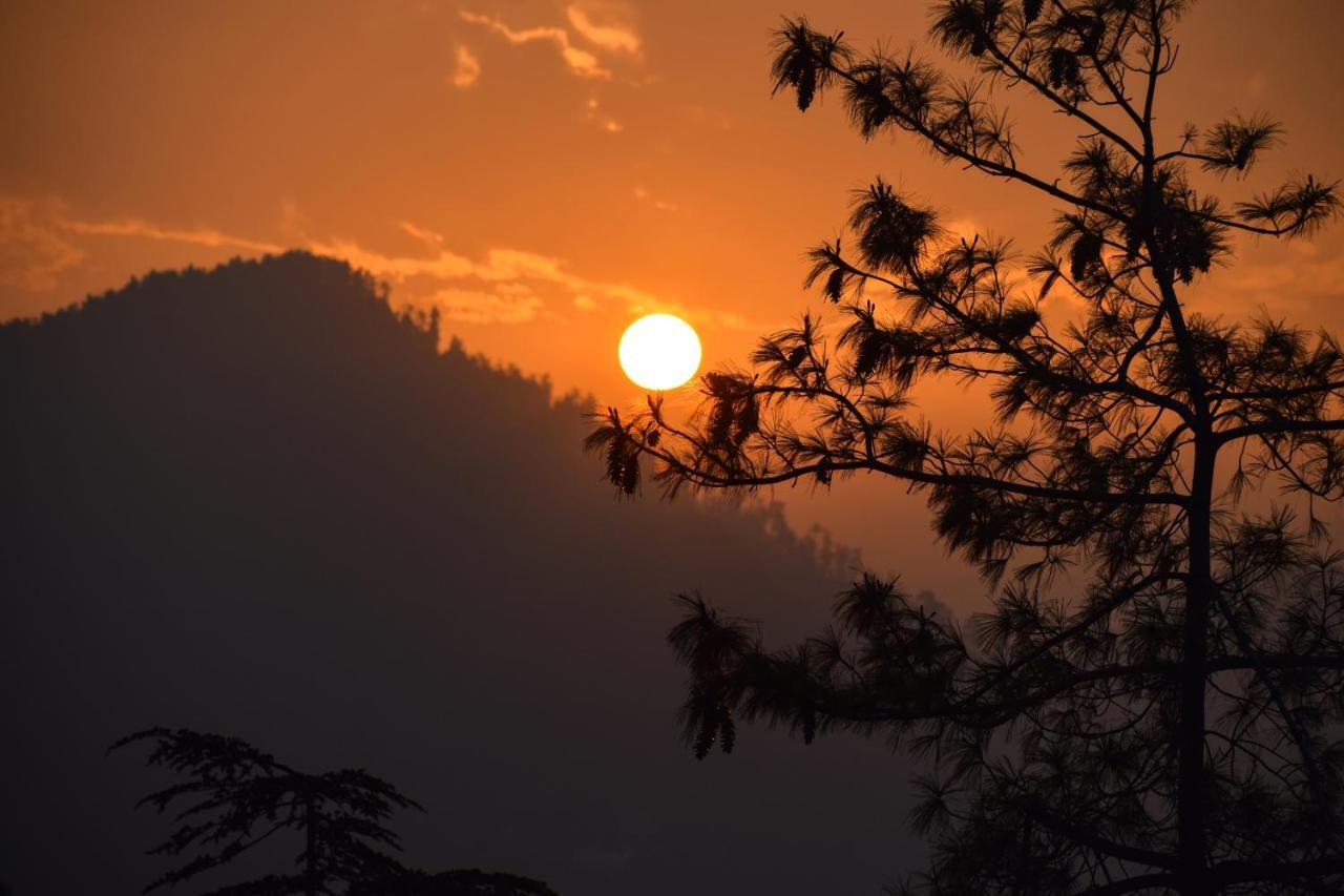 Aachman Nature Valley Resort, Mashobra Shimla Exterior photo